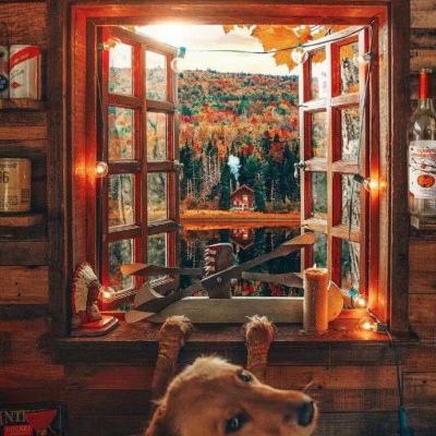 好运彩下载手机版